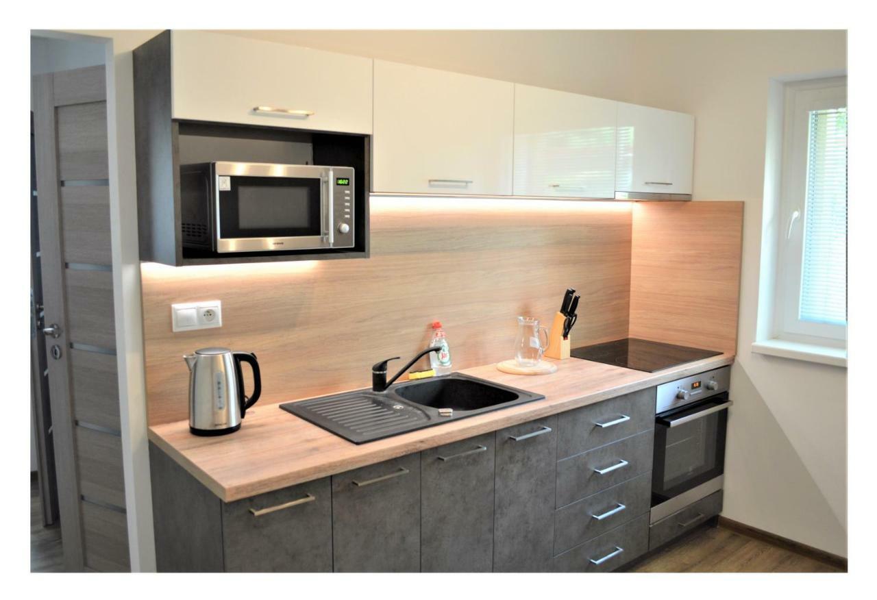 Sgl Apartments Lavickova Trenčín Dış mekan fotoğraf